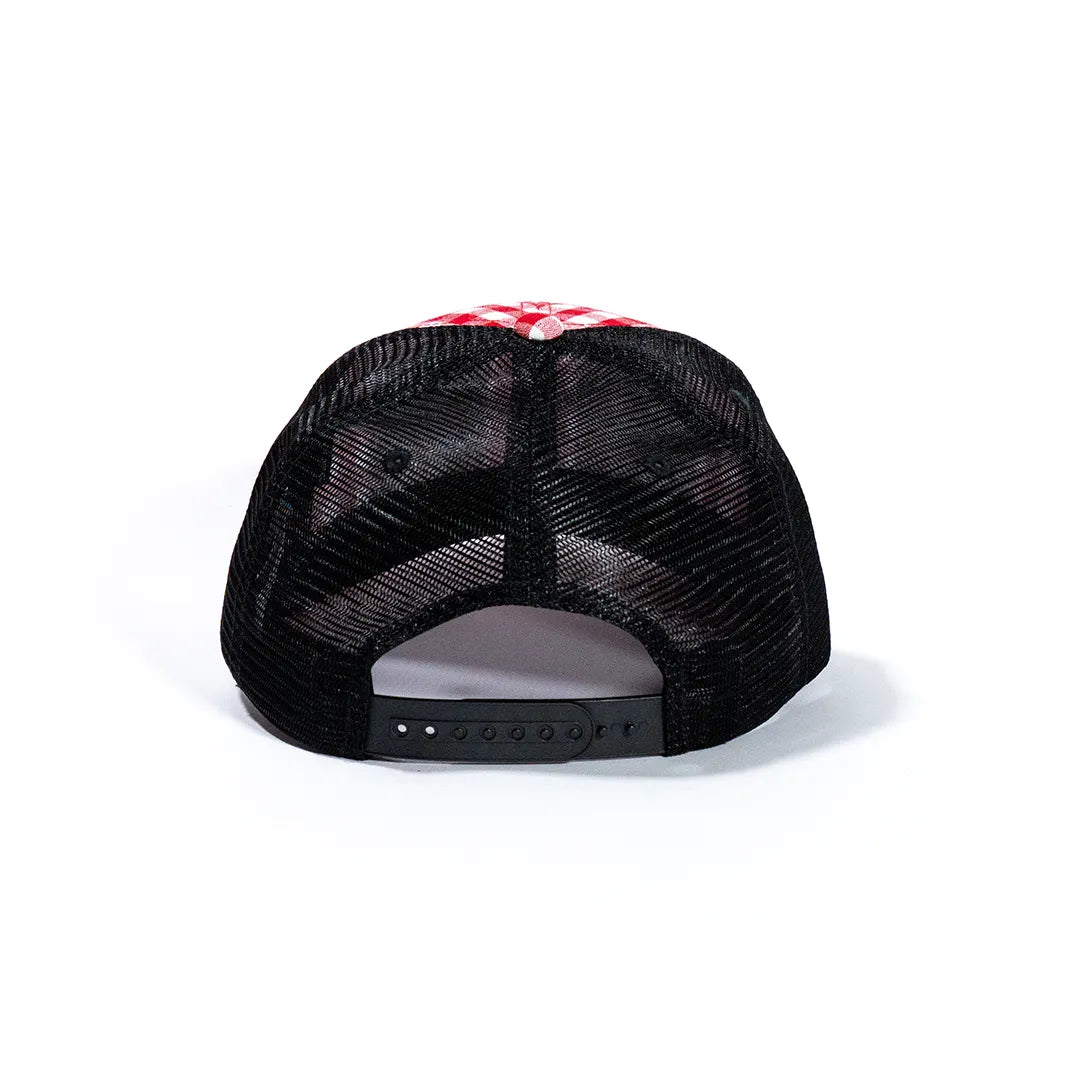 Plaid Mesh Cap 2