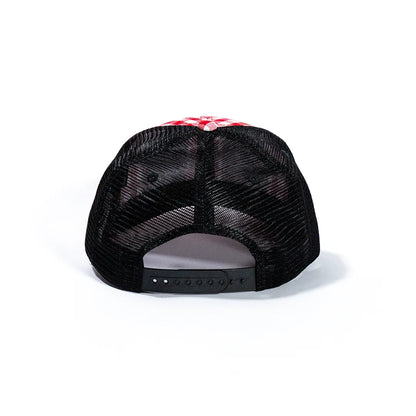 Plaid Mesh Cap 2