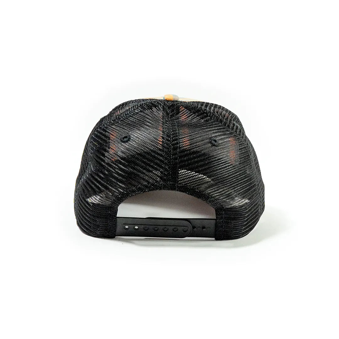 Plaid Mesh Cap 3