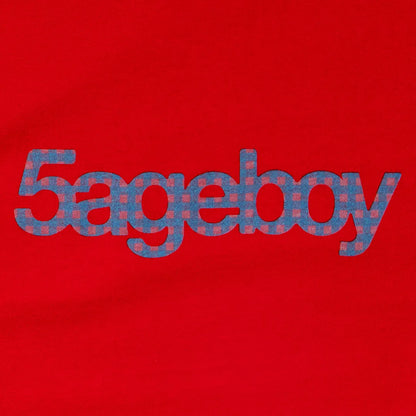 5ageboy gingham logo S/S Tee
